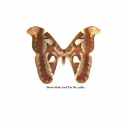 Moth and the Butterfly by :Drive