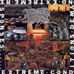 Extreme Conditions Demand Extreme Responses by Brutal Truth