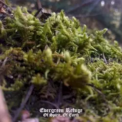 Of Spirit, Of Earth by Evergreen Refuge