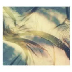Kansai Botanicals by Deadbeat