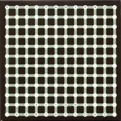 Slight Variations by Fujiya & Miyagi