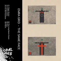 The Same Face by Emra Grid