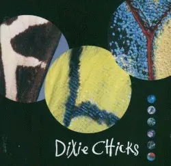 Fly by Dixie Chicks