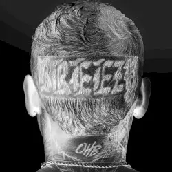 Breezy by Chris Brown