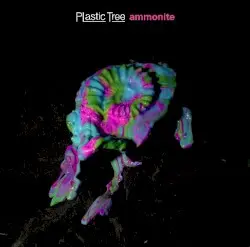 アンモナイト by Plastic Tree