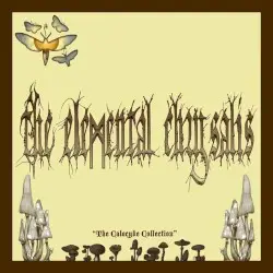 The Calocybe Collection by The Elemental Chrysalis