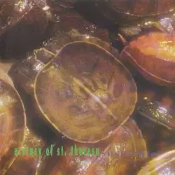 Susurrate by The Ecstasy of Saint Theresa