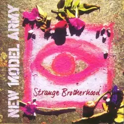 Strange Brotherhood by New Model Army