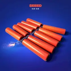 Bam Bam by Seeed