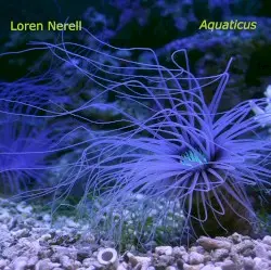 Aquaticus by Loren Nerell