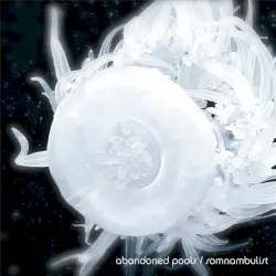 Somnambulist by Abandoned Pools