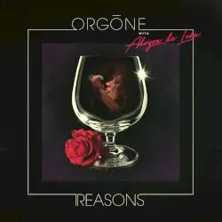 Reasons by Orgone