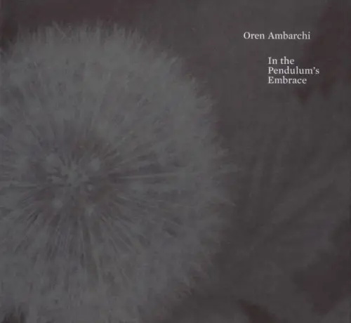 In the Pendulum's Embrace by Oren Ambarchi