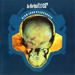 Blow Your Headphones by The Herbaliser