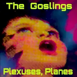 Plexuses, Planes by The Goslings
