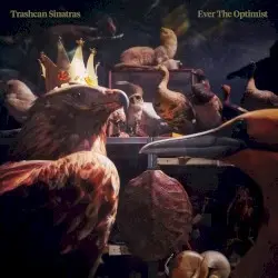 Ever The Optimist by Trashcan Sinatras