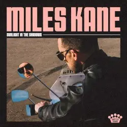 Sunlight in the Shadows by Miles Kane
