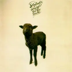 Straight in a Gay Gay World by Skyhooks