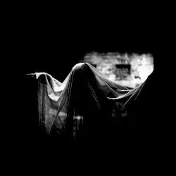 metempsychosis by Monodrone