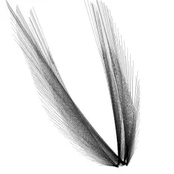 Phoenix by Mr. Projectile