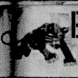 PANTHER nO!se by Russell Haswell