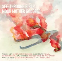 Split Tape: MMGZ X STG by Moor Mother / See Through Girls