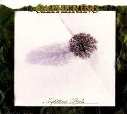 Nighttime Birds by The Gathering
