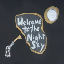 Welcome to the Night Sky by Wintersleep