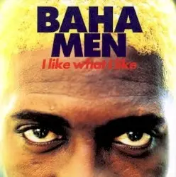 I Like What I Like by Baha Men