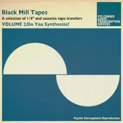 Black Mill Tapes, Volume 2: Do You Synthesize? by Pye Corner Audio