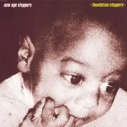 Foundation Steppers by New Age Steppers