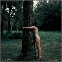 The Forests by The Owl