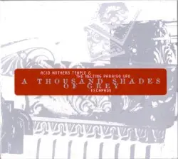 A Thousand Shades of Grey by Acid Mothers Temple & The Melting Paraiso U.F.O. / Escapade