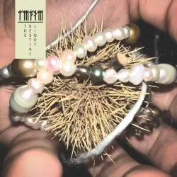 The Bestial Light by Radar Men From the Moon