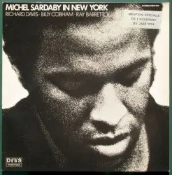 In New York by Michel Sardaby