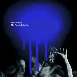 Made of Rain by The Psychedelic Furs