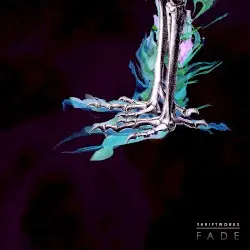 Fade by Thriftworks