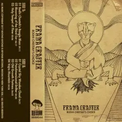 Bodhi Cheetah’s Choice by Prana Crafter