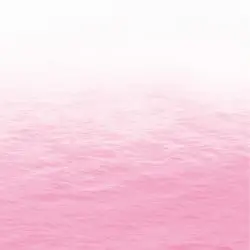 Pink by RAY