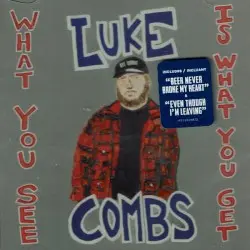 What You See Is What You Get by Luke Combs