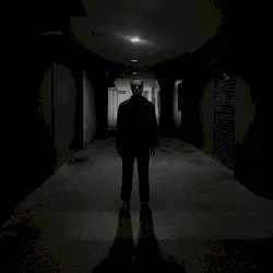 Domain by Dancing Plague