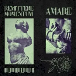 AMARE by Remittere Momentum