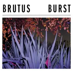 Burst by Brutus