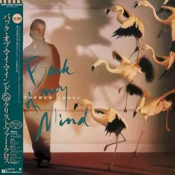 Back of My Mind by Christopher Cross