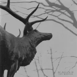 The Mantle by Agalloch