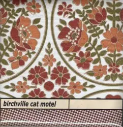 Astro Catastrophies by Birchville Cat Motel