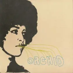 Orchid by Orchid