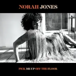 Pick Me Up Off the Floor by Norah Jones