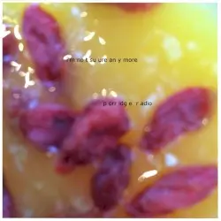 i'm not sure anymore by Porridge Radio