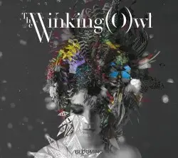BLOOMING by The Winking Owl
